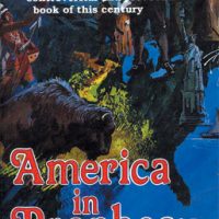 America in Prophecy paperback