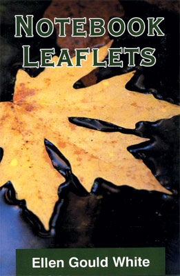 Notebook Leaflets book