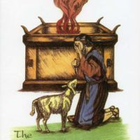The Sanctuary Made Simple book