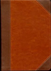 Study Bible Chestnut cover