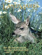 LandMarks cover May 2006