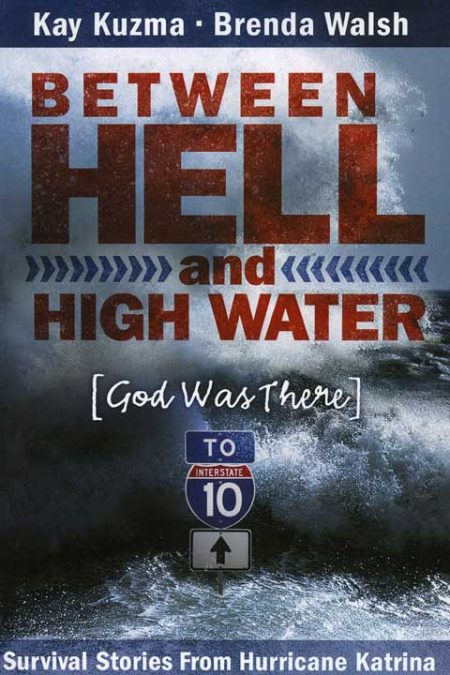 Between Hello and High Water book cover