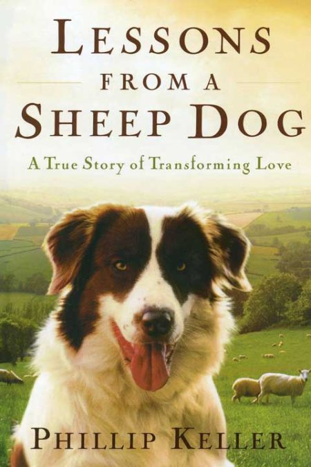 Lessons from a Sheep Dog cover