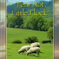 Fear Not Little Flock devotional cover