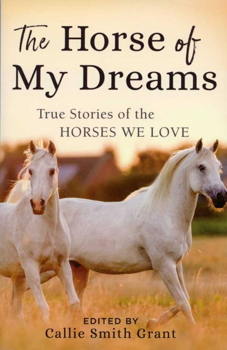 Horse of my Dreams book cover