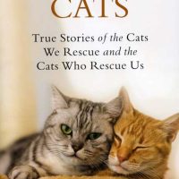 Second Chance Cats book cover