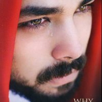 Why Jesus Waits book cover