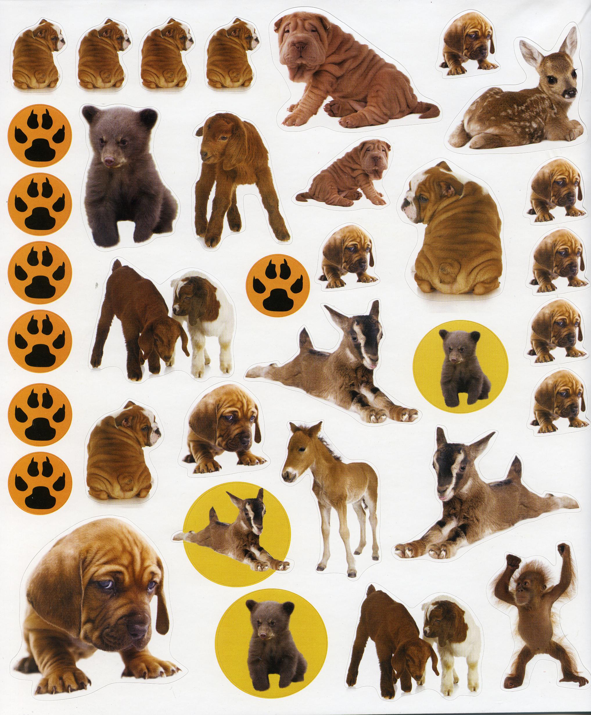 Eye-Like Baby Animals Sticker Book - Image 2